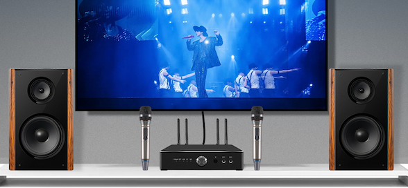 Hlq amplificateur Haut - parleur 600W et 300W KTV système karaoké