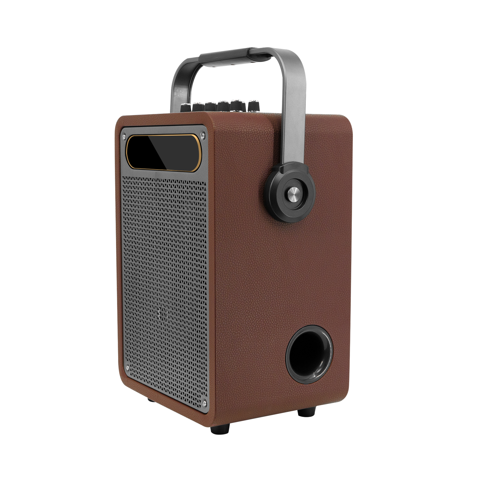All-in-One Outdoor Karaoke Music Player